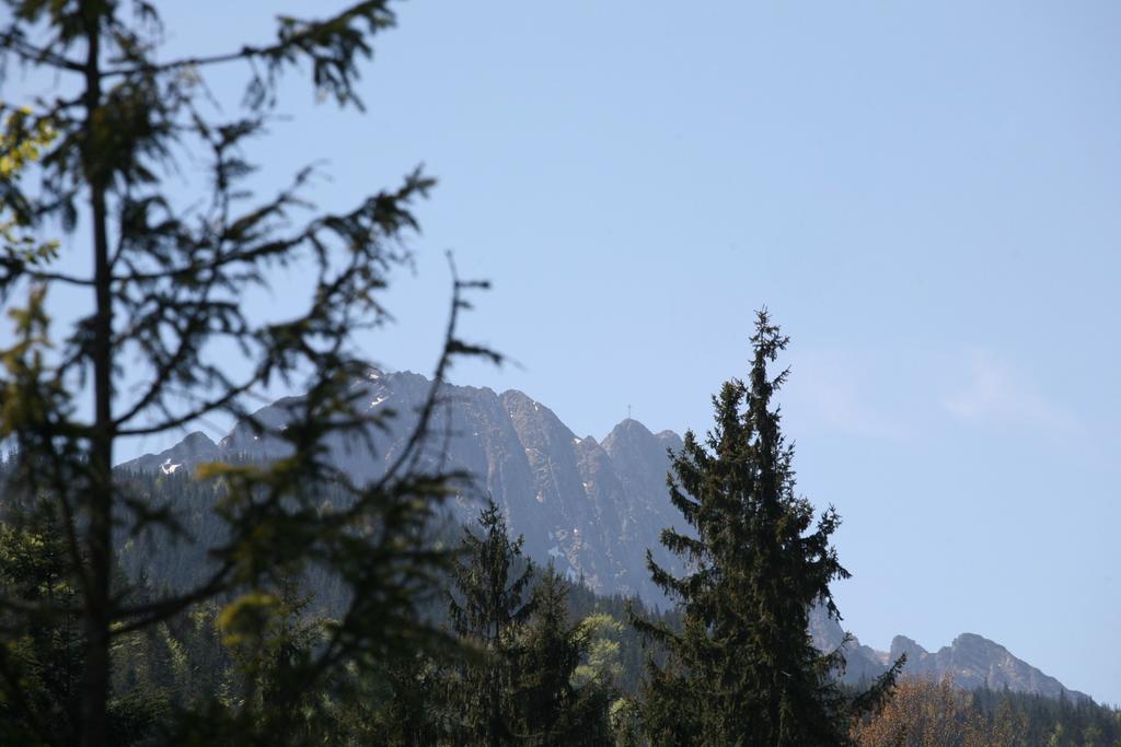 Apartament Glamour I Zakopane Room photo